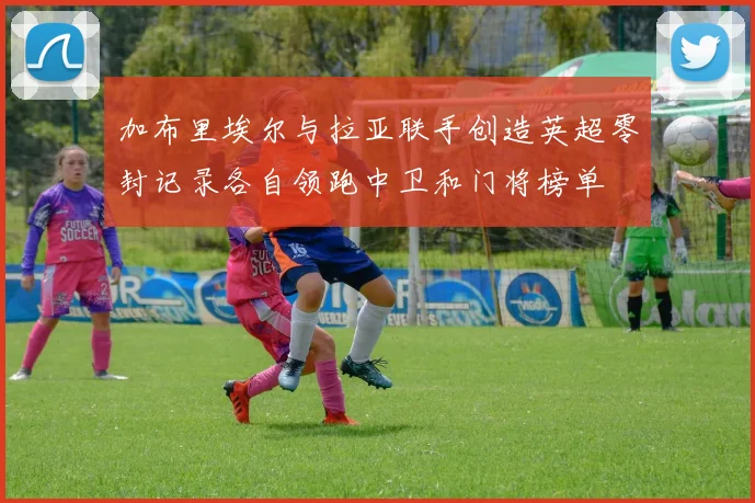 加布里埃尔与拉亚联手创造英超零封记录各自领跑中卫和门将榜单