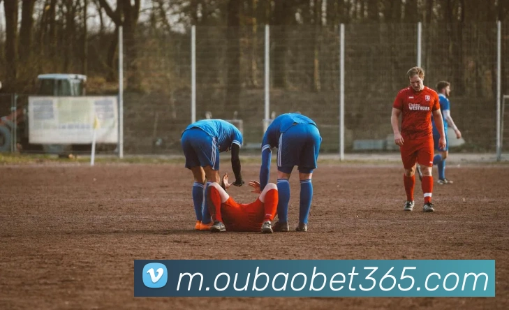 欧宝体育平台生态图